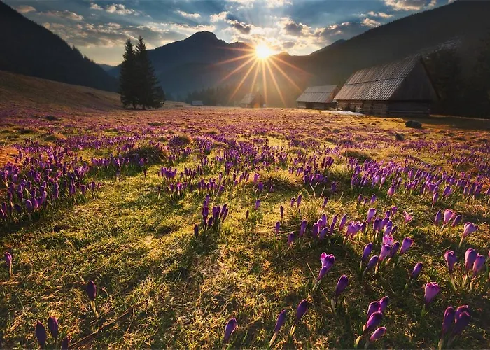 Bed and Breakfast Dom Wypoczynkowy Maryna Białka Tatrzańska